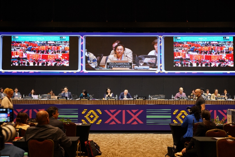 图片图片
