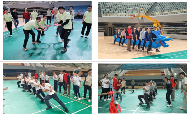 微信图片_20261016090824_585_164.png